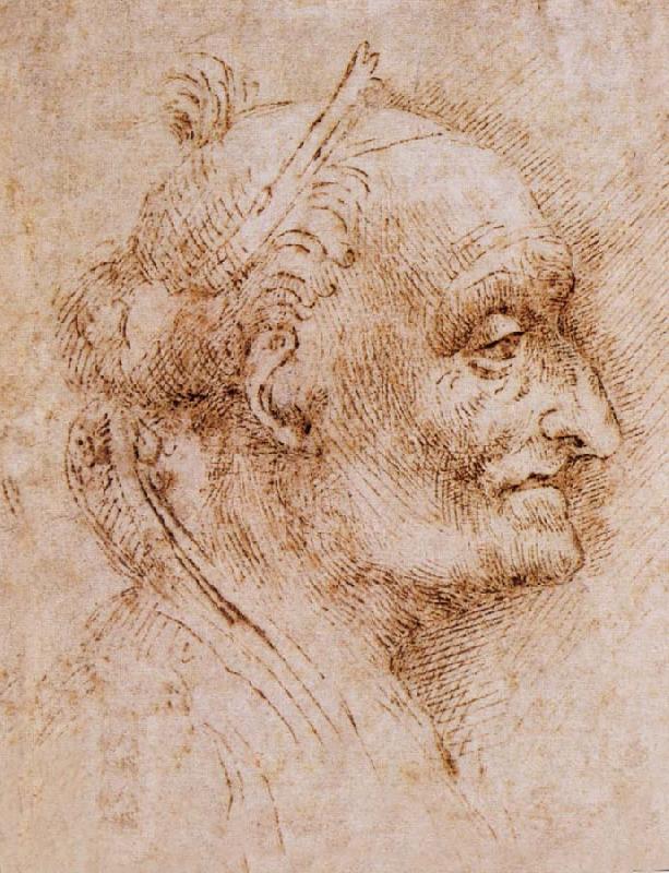 LEONARDO da Vinci Aurelio Luini attributed, profile of an old man oil painting image